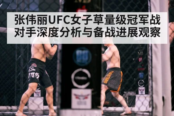 octagon cage fight