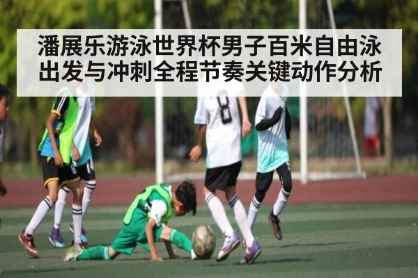 潘展乐游泳世界杯男子百米自由泳出发与冲刺全程节奏关键动作分析